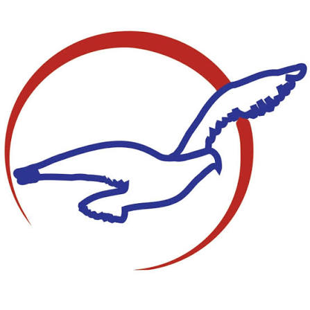 Air Peace Website